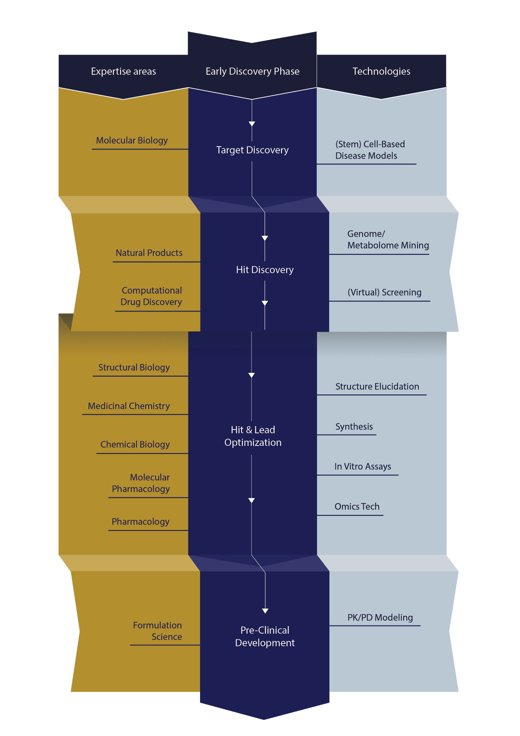 Drug Discovery Pipeline - Leiden University