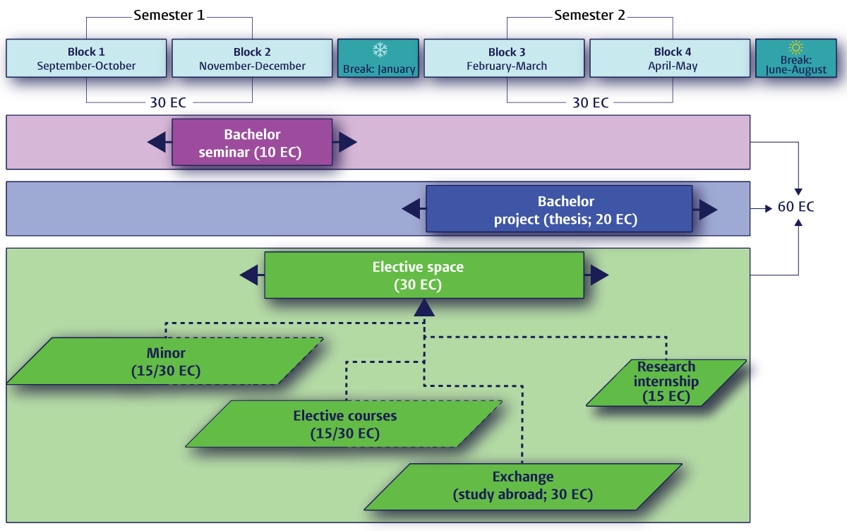 Programme structure - Leiden University